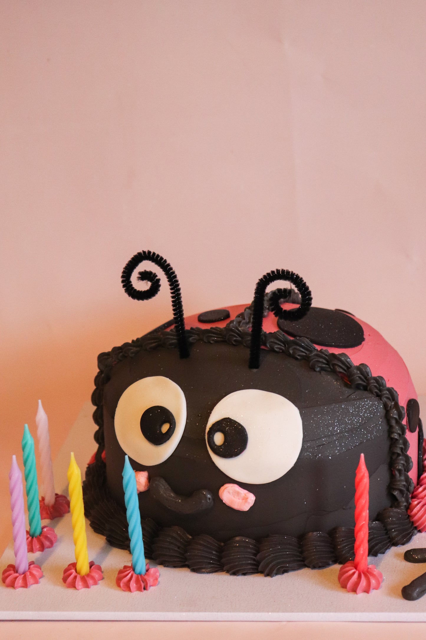 Ladybug