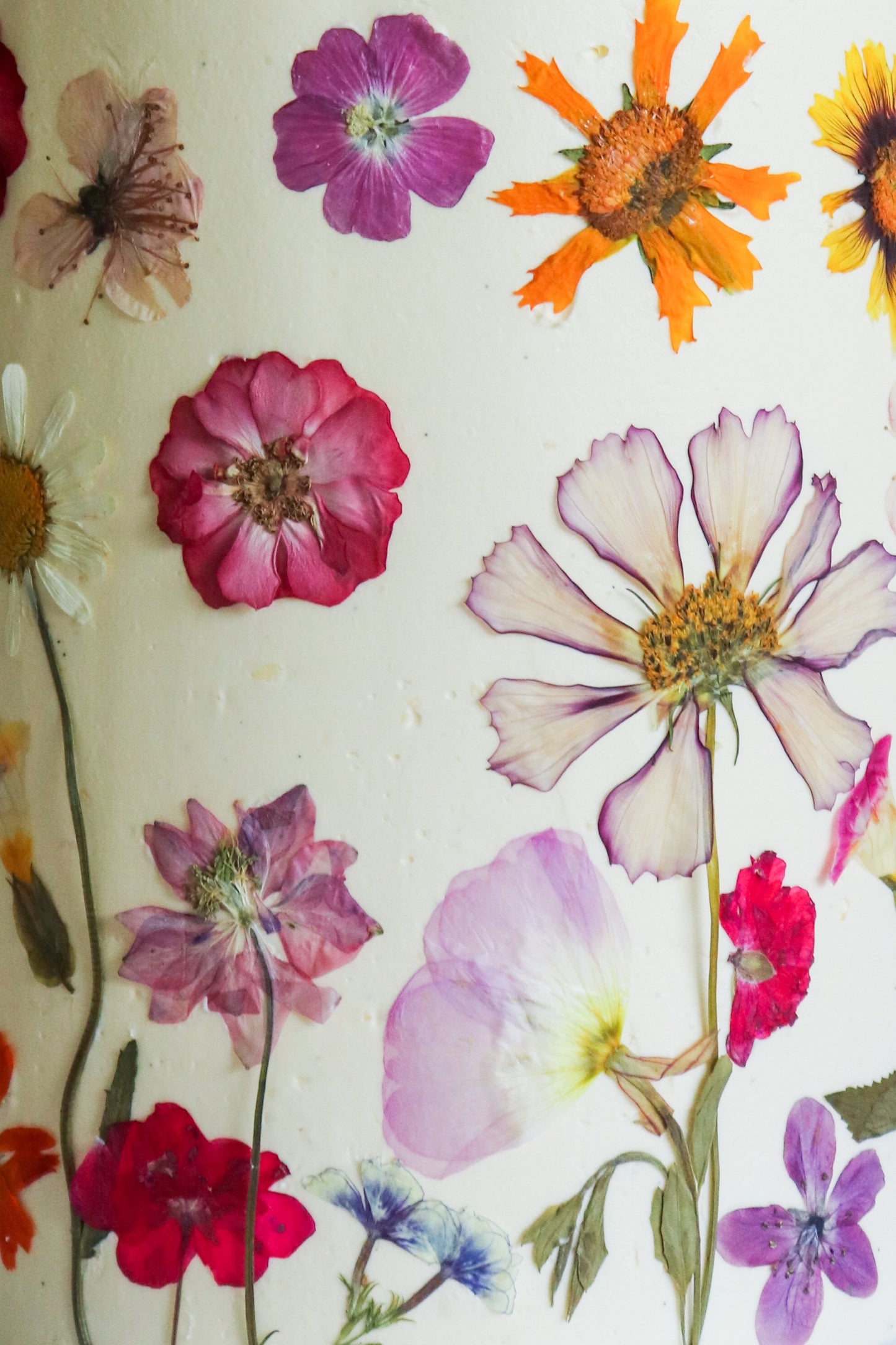 Pressed Flowers