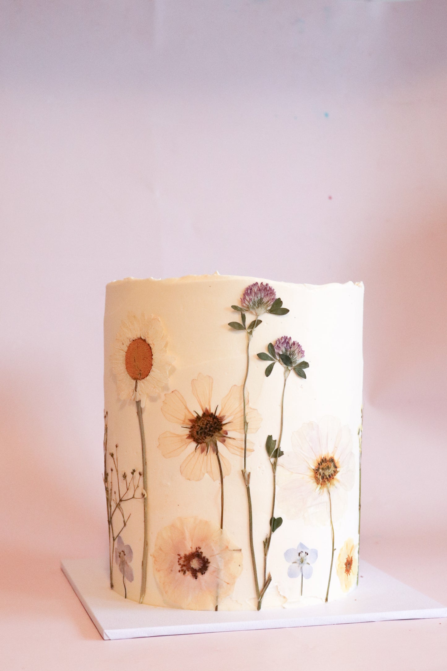 Pressed Flowers