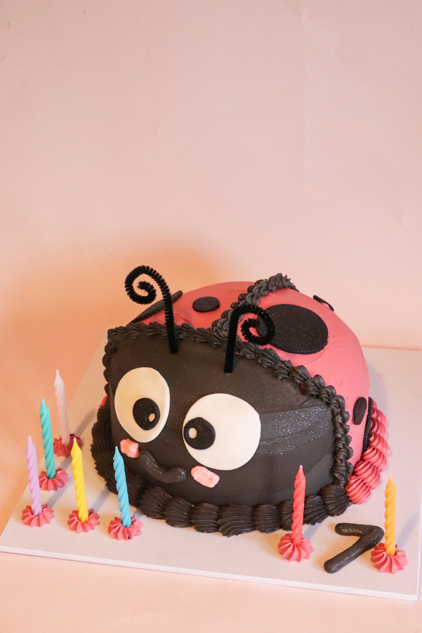 Ladybug